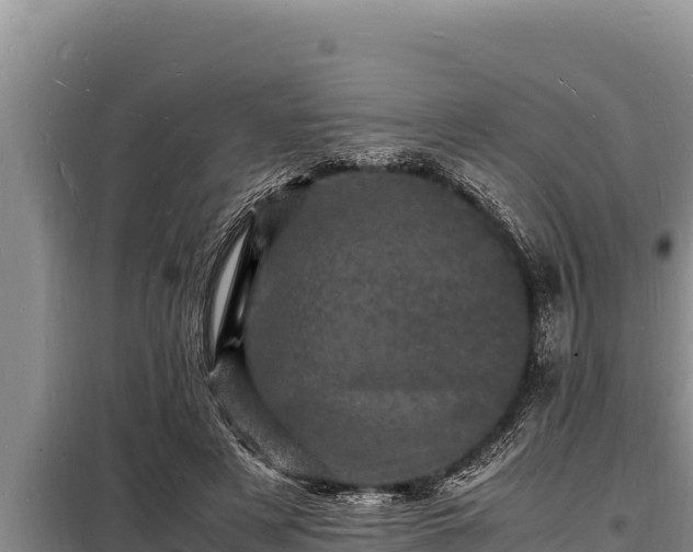 X0000098180497200805011039