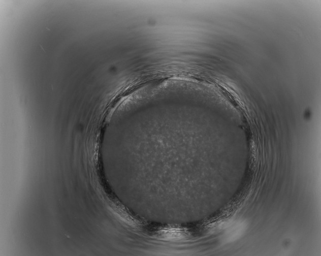 X0000098180499200805011039