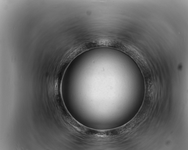 X0000098180502200805011039