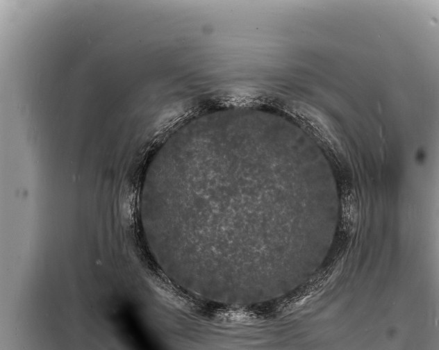 X0000098180503200805011039