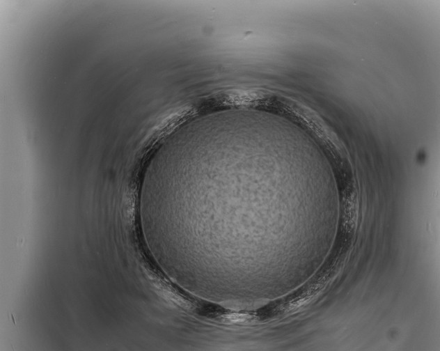 X0000098180505200805011039