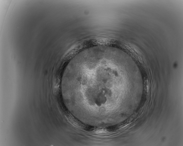 X0000098180507200805011039