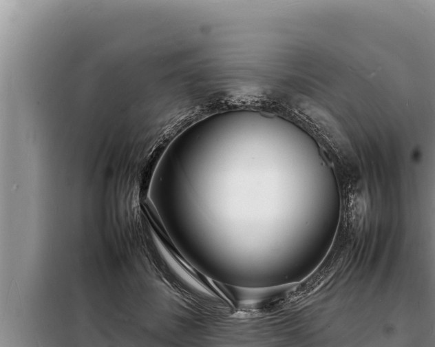 X0000098180508200805011039