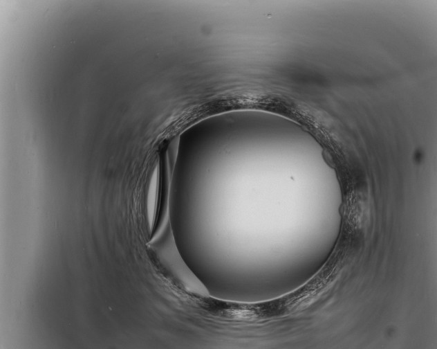 X0000098180509200805011039