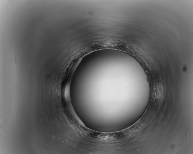 X0000098180512200805011039