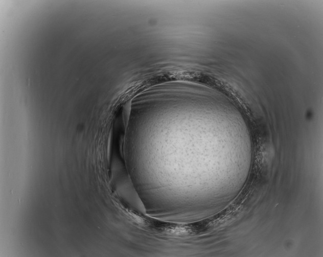 X0000098180513200805011039