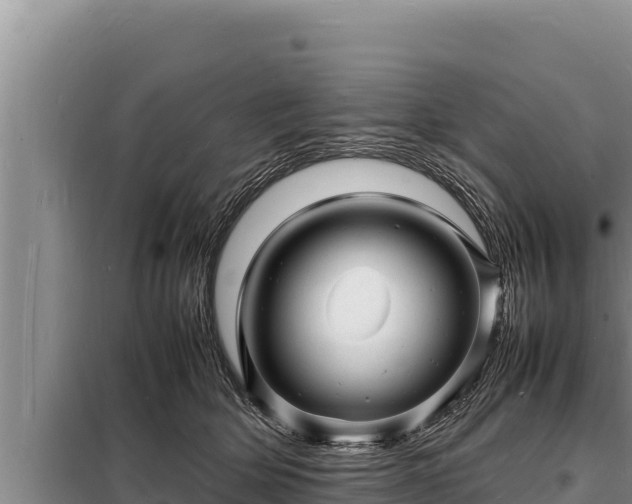 X0000098180514200805011039