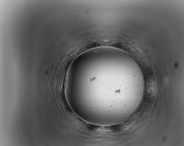 X0000098180515200805011039