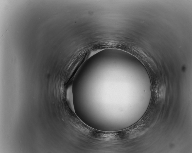 X0000098180516200805011039