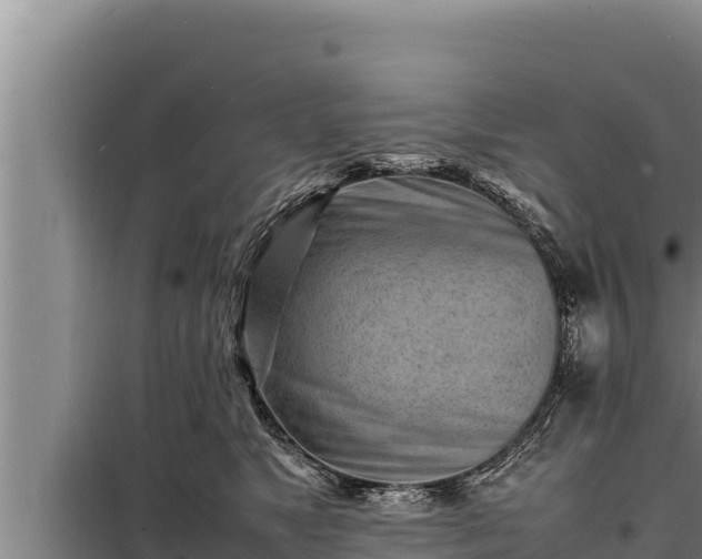 X0000098180517200805011039