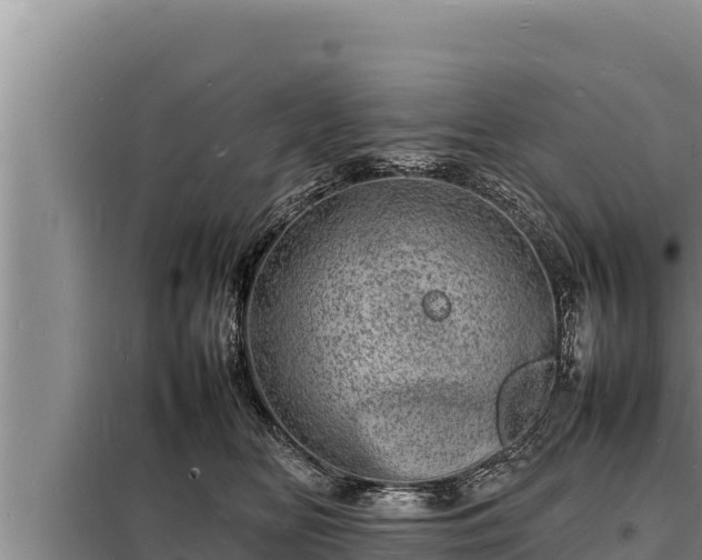 X0000098180518200805011039