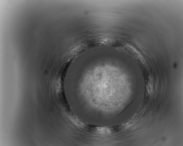 X0000098180520200805011039