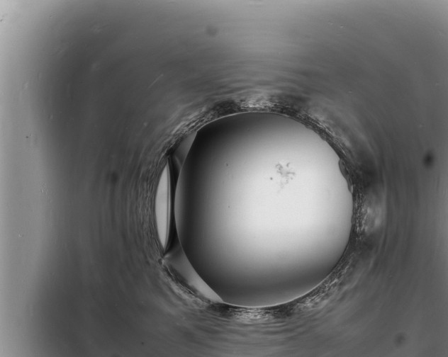 X0000098180521200805011039