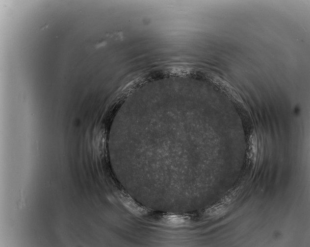 X0000098180522200805011039