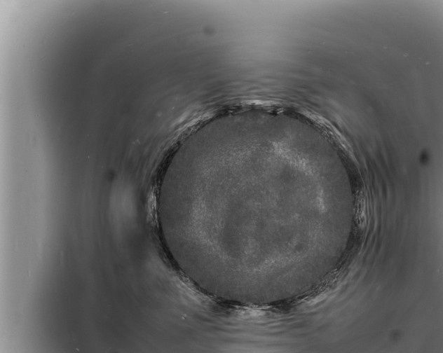 X0000098180523200805011039