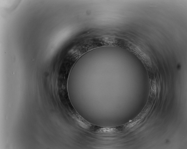 X0000098180526200805011039