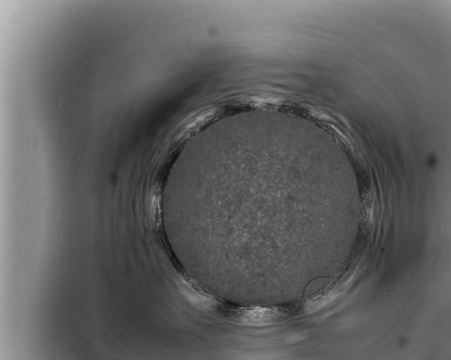 X0000098180527200805011039