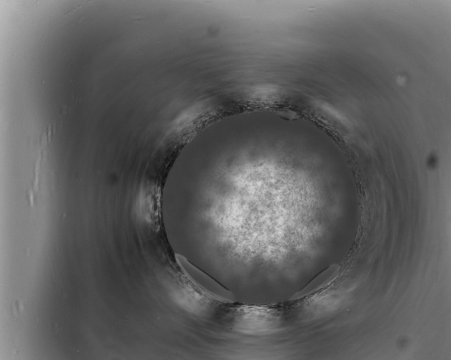 X0000098180528200805011039