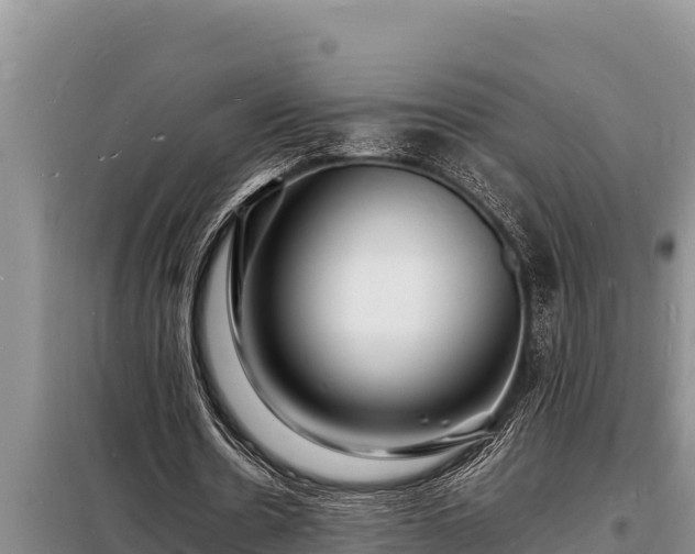 X0000098180530200805011038