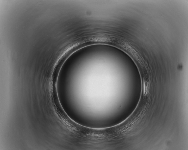 X0000098180531200805011038