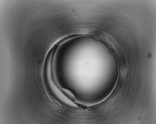 X0000098180532200805011038