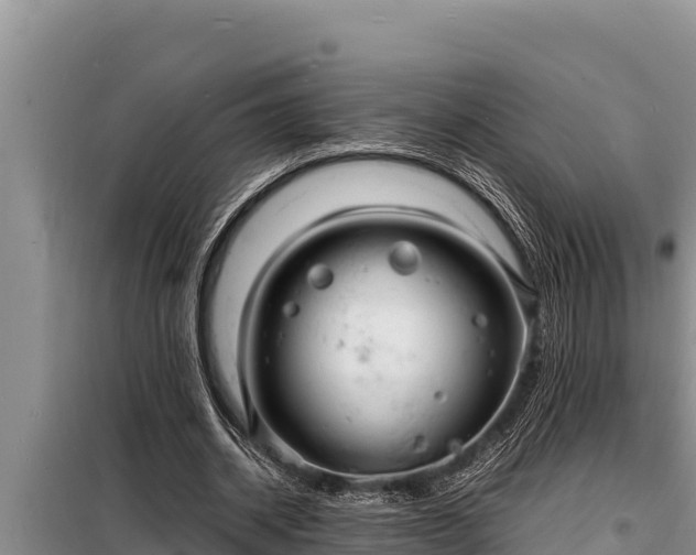 X0000098180534200805011038