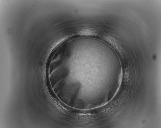 X0000098180535200805011038