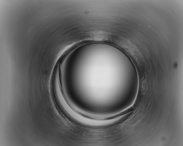 X0000098180536200805011038