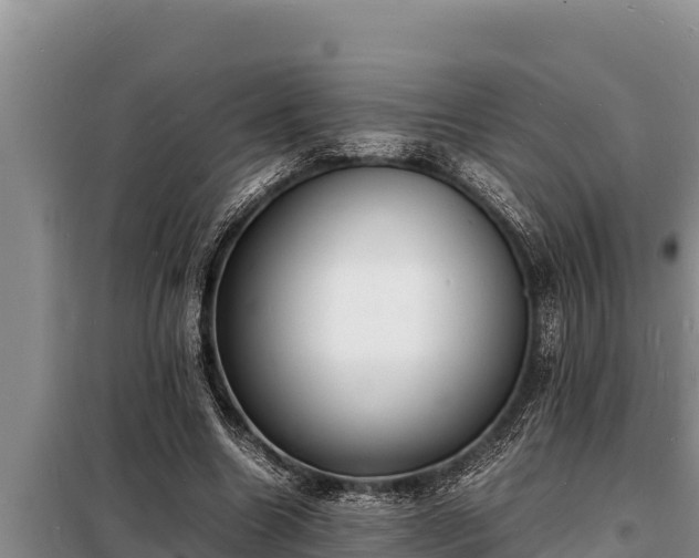 X0000098180538200805011038