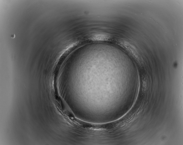 X0000098180539200805011038