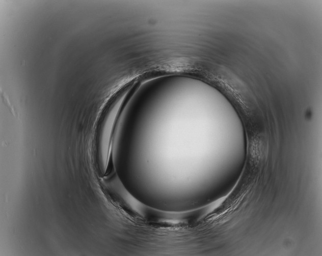 X0000098180540200805011038