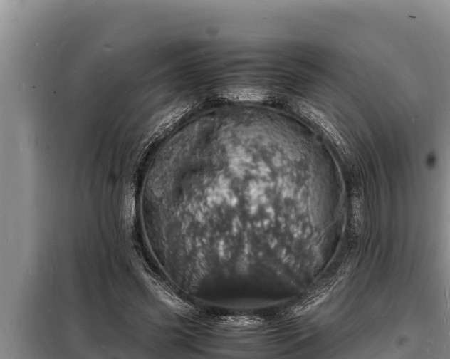 X0000098180541200805011038