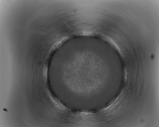 X0000098180542200805011038