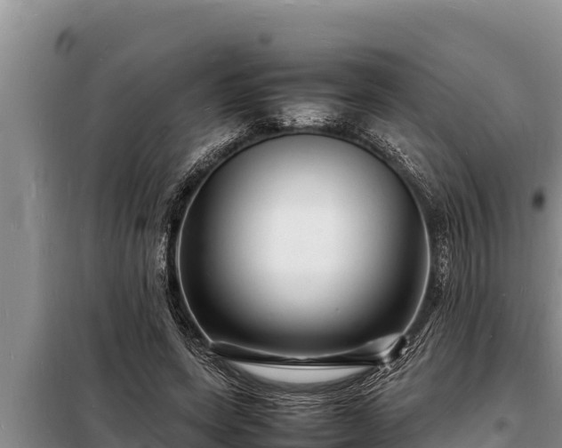 X0000098180543200805011038