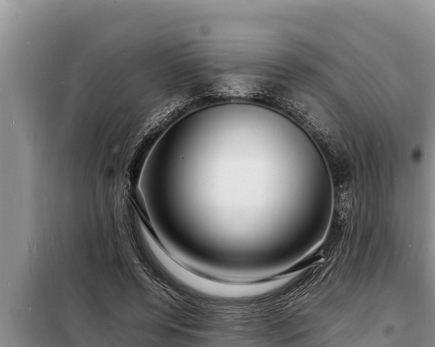 X0000098180544200805011038