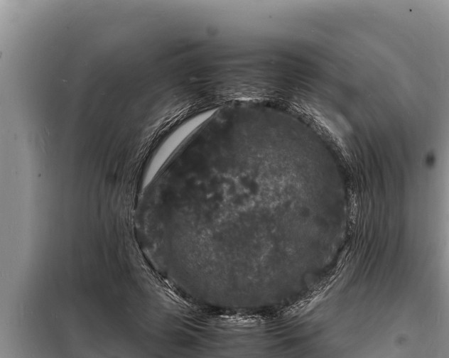 X0000098180545200805011038