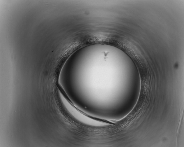 X0000098180546200805011038