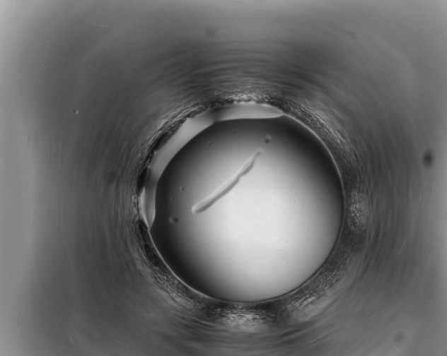 X0000098180547200805011038