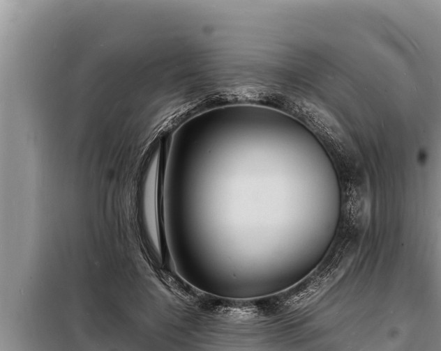 X0000098180548200805011038