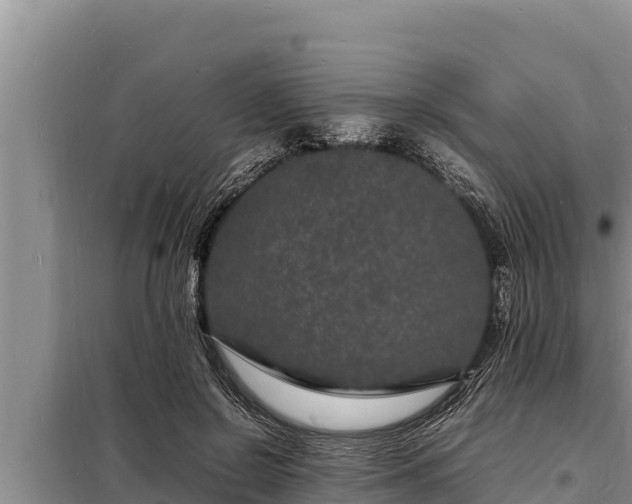 X0000098180550200805011038