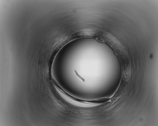 X0000098180552200805011038