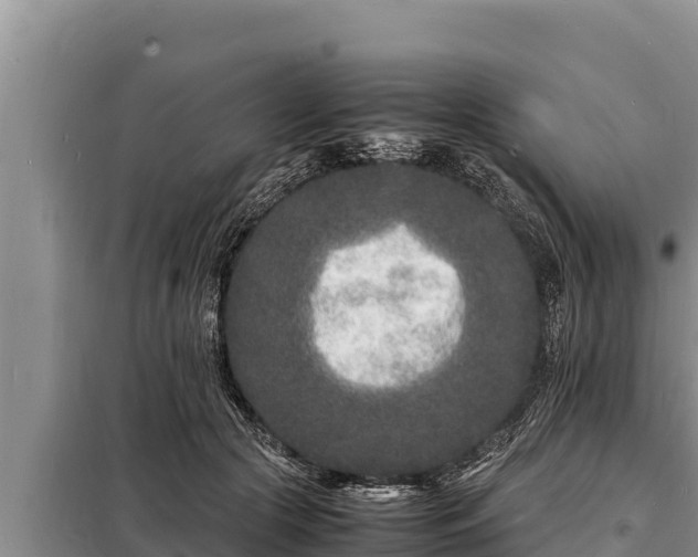 X0000098180553200805011038