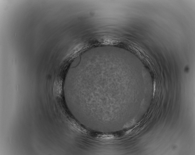 X0000098180554200805011038