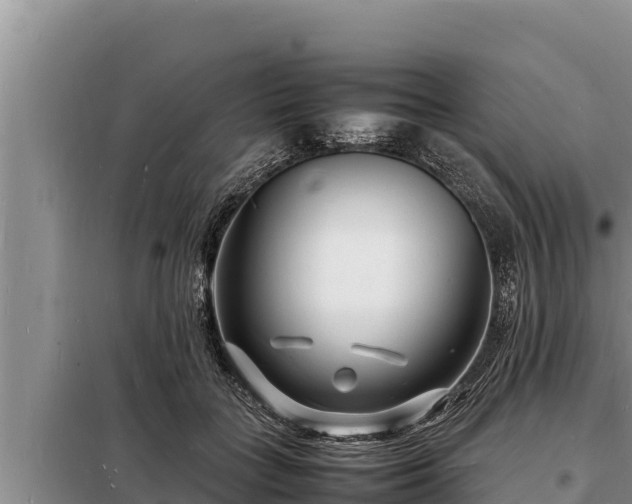 X0000098180555200805011038