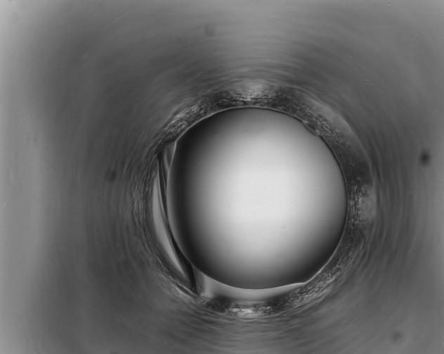 X0000098180558200805011038