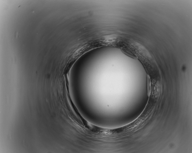 X0000098180562200805011038