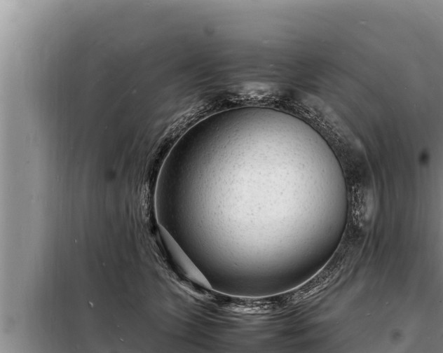 X0000098180563200805011038