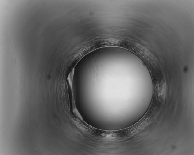 X0000098180564200805011038