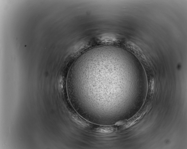 X0000098180567200805011038