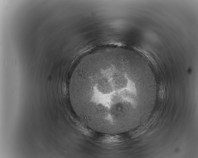 X0000098180569200805011038